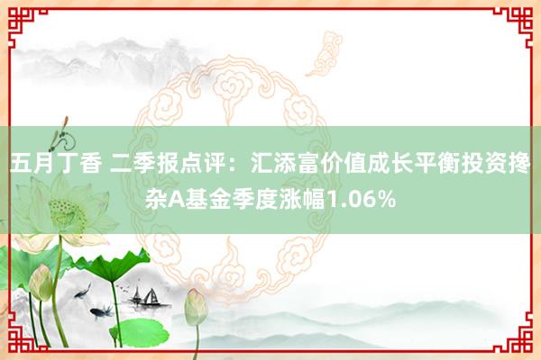 五月丁香 二季报点评：汇添富价值成长平衡投资搀杂A基金季度涨幅1.06%