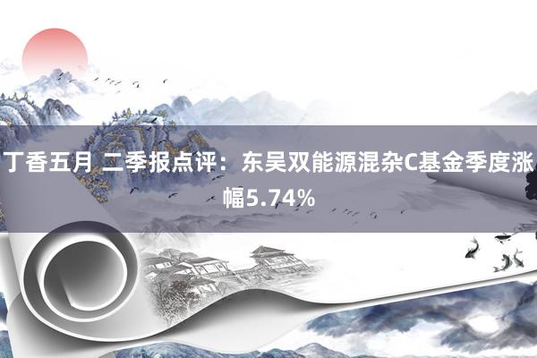 丁香五月 二季报点评：东吴双能源混杂C基金季度涨幅5.74%