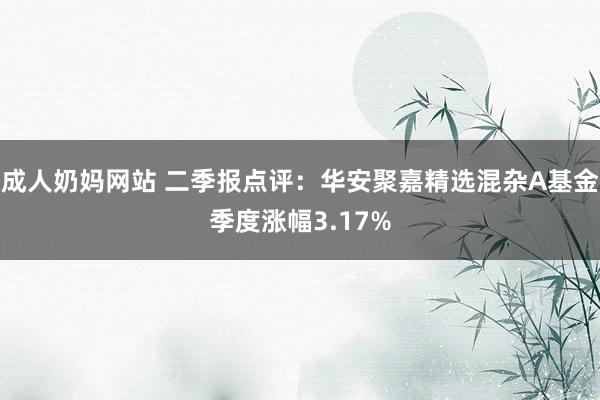 成人奶妈网站 二季报点评：华安聚嘉精选混杂A基金季度涨幅3.17%