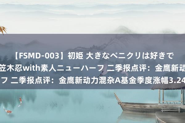 【FSMD-003】初姫 大きなペニクリは好きですか！？ ニューハーフ笠木忍with素人ニューハーフ 二季报点评：金鹰新动力混杂A基金季度涨幅3.24%