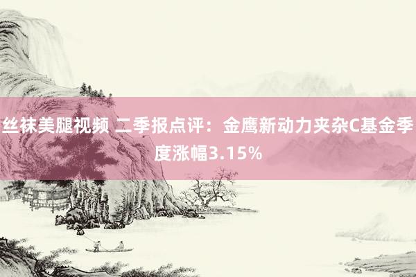 丝袜美腿视频 二季报点评：金鹰新动力夹杂C基金季度涨幅3.15%