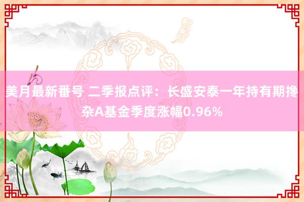 美月最新番号 二季报点评：长盛安泰一年持有期搀杂A基金季度涨幅0.96%