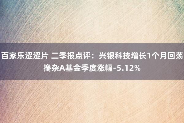 百家乐涩涩片 二季报点评：兴银科技增长1个月回荡搀杂A基金季度涨幅-5.12%