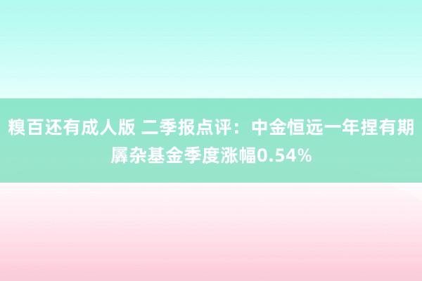 糗百还有成人版 二季报点评：中金恒远一年捏有期羼杂基金季度涨幅0.54%