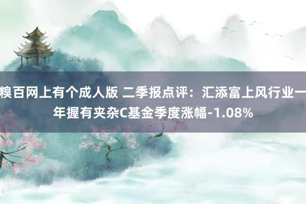 糗百网上有个成人版 二季报点评：汇添富上风行业一年握有夹杂C基金季度涨幅-1.08%