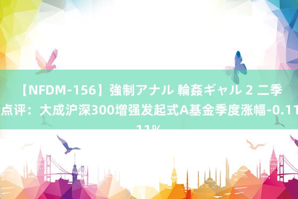 【NFDM-156】強制アナル 輪姦ギャル 2 二季报点评：大成沪深300增强发起式A基金季度涨幅-0.11%