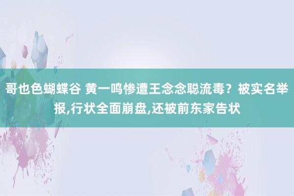 哥也色蝴蝶谷 黄一鸣惨遭王念念聪流毒？被实名举报，行状全面崩盘，还被前东家告状