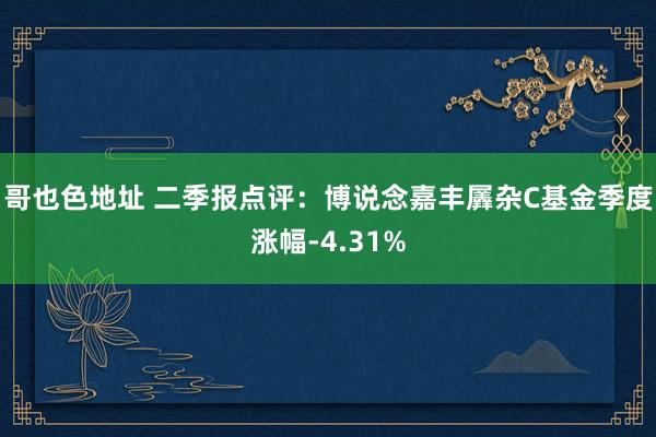 哥也色地址 二季报点评：博说念嘉丰羼杂C基金季度涨幅-4.31%