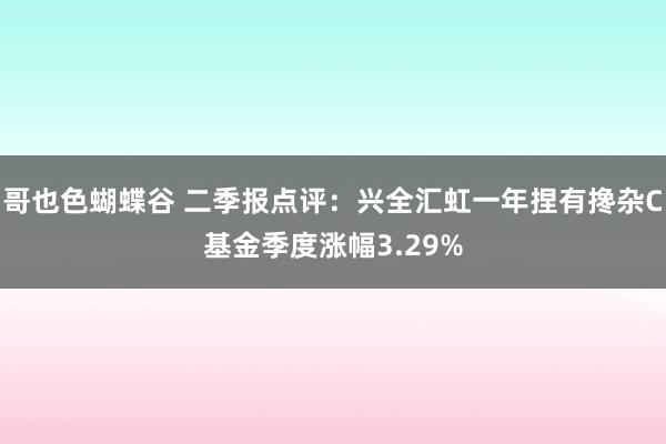 哥也色蝴蝶谷 二季报点评：兴全汇虹一年捏有搀杂C基金季度涨幅3.29%