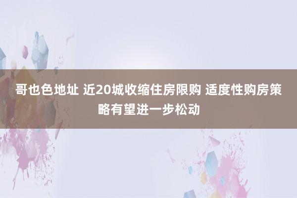 哥也色地址 近20城收缩住房限购 适度性购房策略有望进一步松动