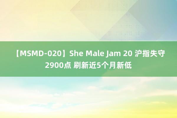 【MSMD-020】She Male Jam 20 沪指失守2900点 刷新近5个月新低