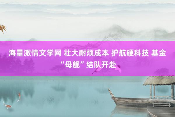 海量激情文学网 壮大耐烦成本 护航硬科技 基金“母舰”结队开赴