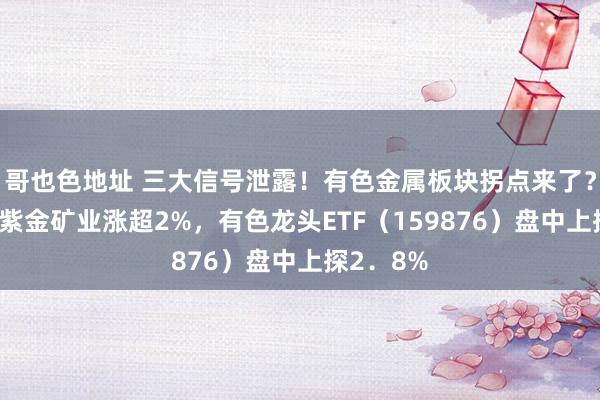 哥也色地址 三大信号泄露！有色金属板块拐点来了？“铜茅”紫金矿业涨超2%，有色龙头ETF（159876）盘中上探2．8%