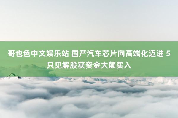 哥也色中文娱乐站 国产汽车芯片向高端化迈进 5只见解股获资金大额买入