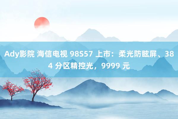 Ady影院 海信电视 98S57 上市：柔光防眩屏、384 分区精控光，9999 元