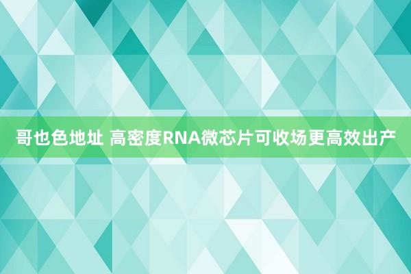 哥也色地址 高密度RNA微芯片可收场更高效出产