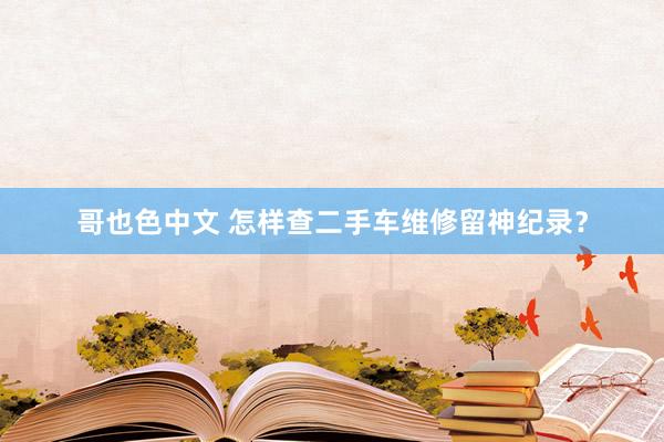 哥也色中文 怎样查二手车维修留神纪录？