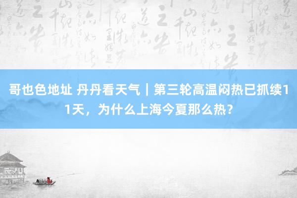 哥也色地址 丹丹看天气｜第三轮高温闷热已抓续11天，为什么上海今夏那么热？