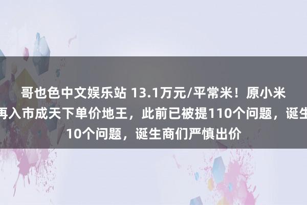 哥也色中文娱乐站 13.1万元/平常米！原小米上海总部地块再入市成天下单价地王，此前已被提110个问题，诞生商们严慎出价