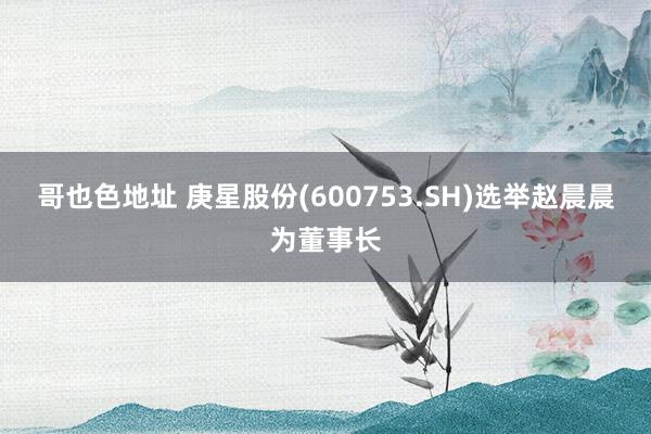 哥也色地址 庚星股份(600753.SH)选举赵晨晨为董事长