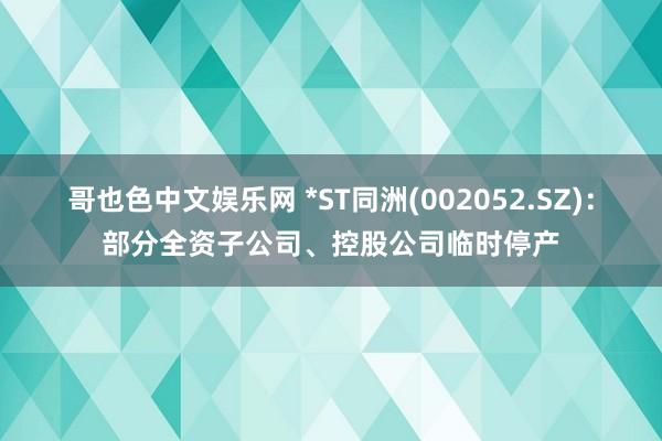 哥也色中文娱乐网 *ST同洲(002052.SZ)：部分全资子公司、控股公司临时停产