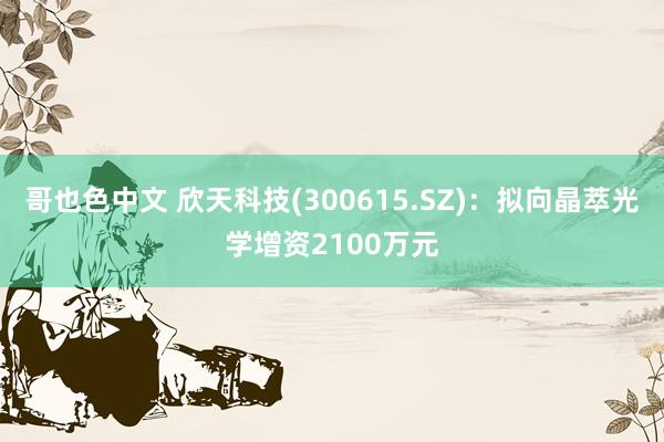 哥也色中文 欣天科技(300615.SZ)：拟向晶萃光学增资2100万元