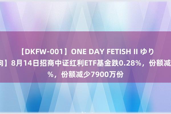 【DKFW-001】ONE DAY FETISH II ゆりあ 【ETF动向】8月14日招商中证红利ETF基金跌0.28%，份额减少7900万份