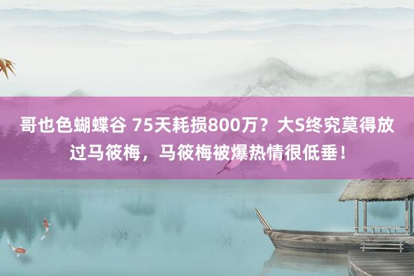 哥也色蝴蝶谷 75天耗损800万？大S终究莫得放过马筱梅，马筱梅被爆热情很低垂！