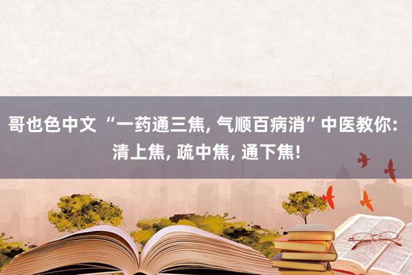 哥也色中文 “一药通三焦， 气顺百病消”中医教你: 清上焦， 疏中焦， 通下焦!