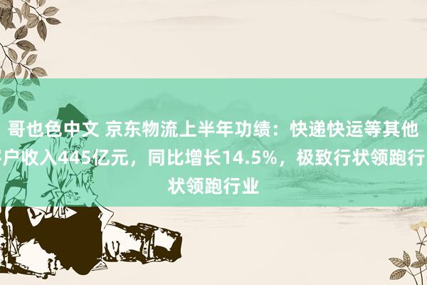 哥也色中文 京东物流上半年功绩：快递快运等其他客户收入445亿元，同比增长14.5%，极致行状领跑行业