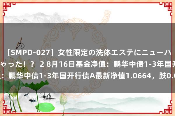 【SMPD-027】女性限定の洗体エステにニューハーフのお客さんが来ちゃった！？ 2 8月16日基金净值：鹏华中债1-3年国开行债A最新净值1.0664，跌0.01%