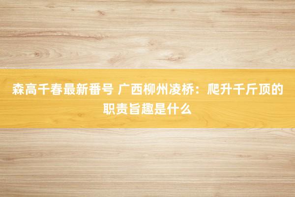 森高千春最新番号 广西柳州凌桥：爬升千斤顶的职责旨趣是什么