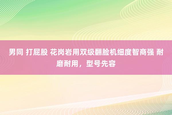 男同 打屁股 花岗岩用双级翻脸机细度智商强 耐磨耐用，型号先容