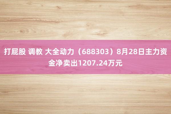 打屁股 调教 大全动力（688303）8月28日主力资金净卖出1207.24万元