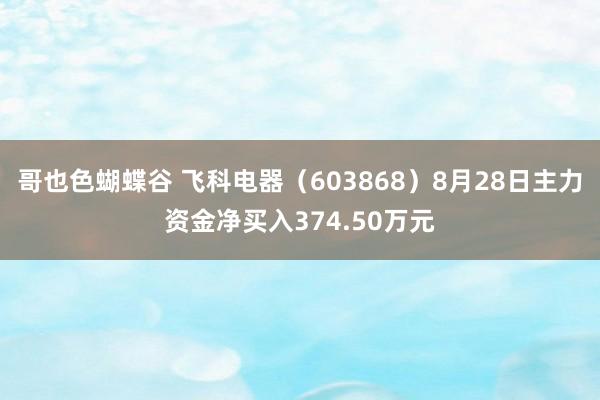 哥也色蝴蝶谷 飞科电器（603868）8月28日主力资金净买入374.50万元