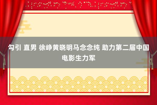 勾引 直男 徐峥黄晓明马念念纯 助力第二届中国电影生力军