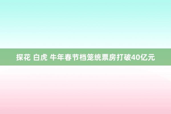 探花 白虎 牛年春节档笼统票房打破40亿元