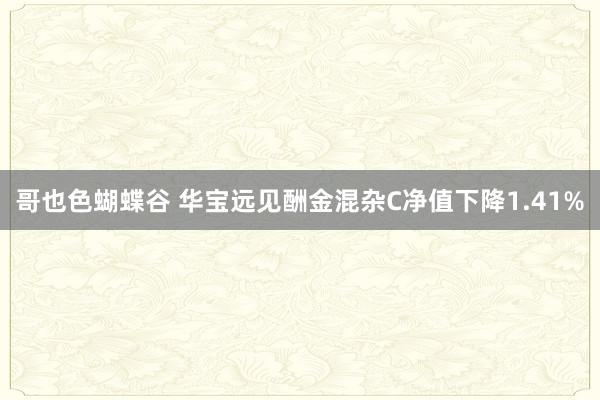 哥也色蝴蝶谷 华宝远见酬金混杂C净值下降1.41%