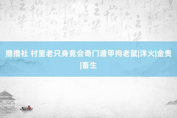 撸撸社 村里老只身竟会奇门遁甲拘老鼠|洋火|金贵|畜生