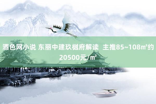 酒色网小说 东丽中建玖樾府解读  主推85~108㎡约20500元/㎡