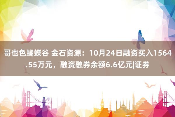 哥也色蝴蝶谷 金石资源：10月24日融资买入1564.55万元，融资融券余额6.6亿元|证券