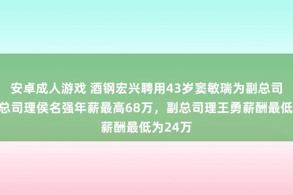 安卓成人游戏 酒钢宏兴聘用43岁窦敏瑞为副总司理，副总司理侯名强年薪最高68万，副总司理王勇薪酬最低为24万