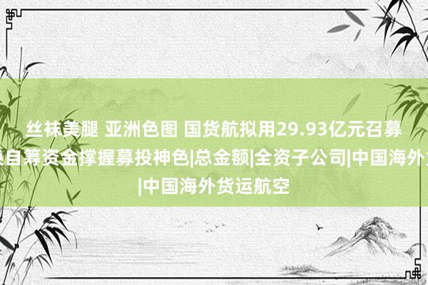 丝袜美腿 亚洲色图 国货航拟用29.93亿元召募资金置换自筹资金撑握募投神色|总金额|全资子公司|中国海外货运航空